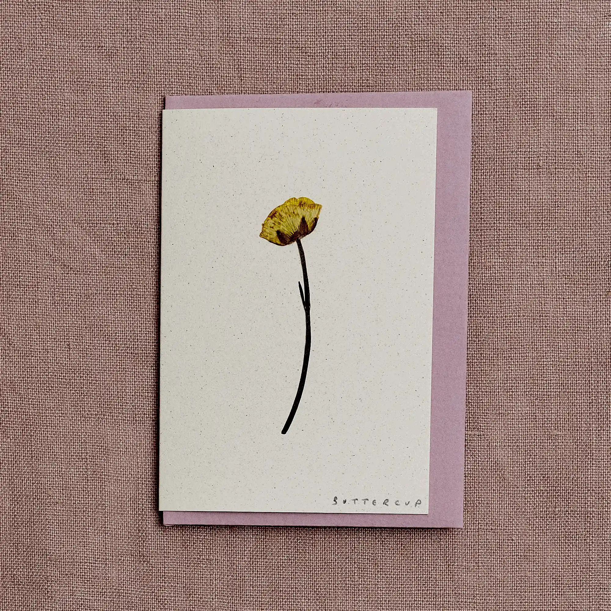 Real Pressed Flower Mini Greetings Card : Stemmed Buttercup