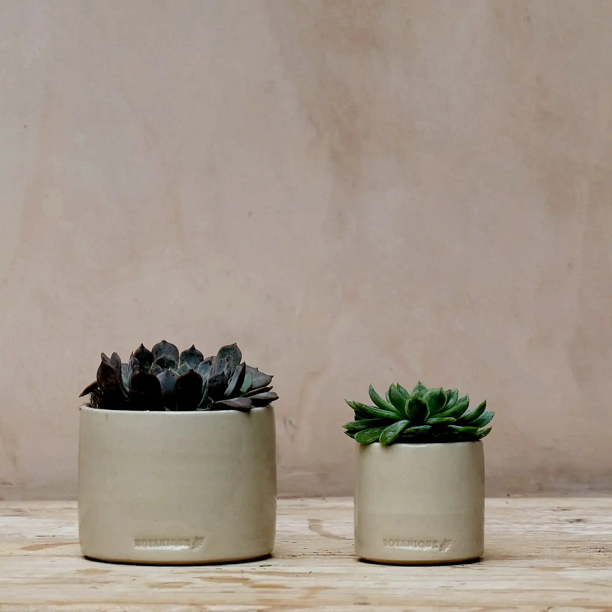 Hand Thrown Ceramic Plant Pot | Large | 3 Glazes Available