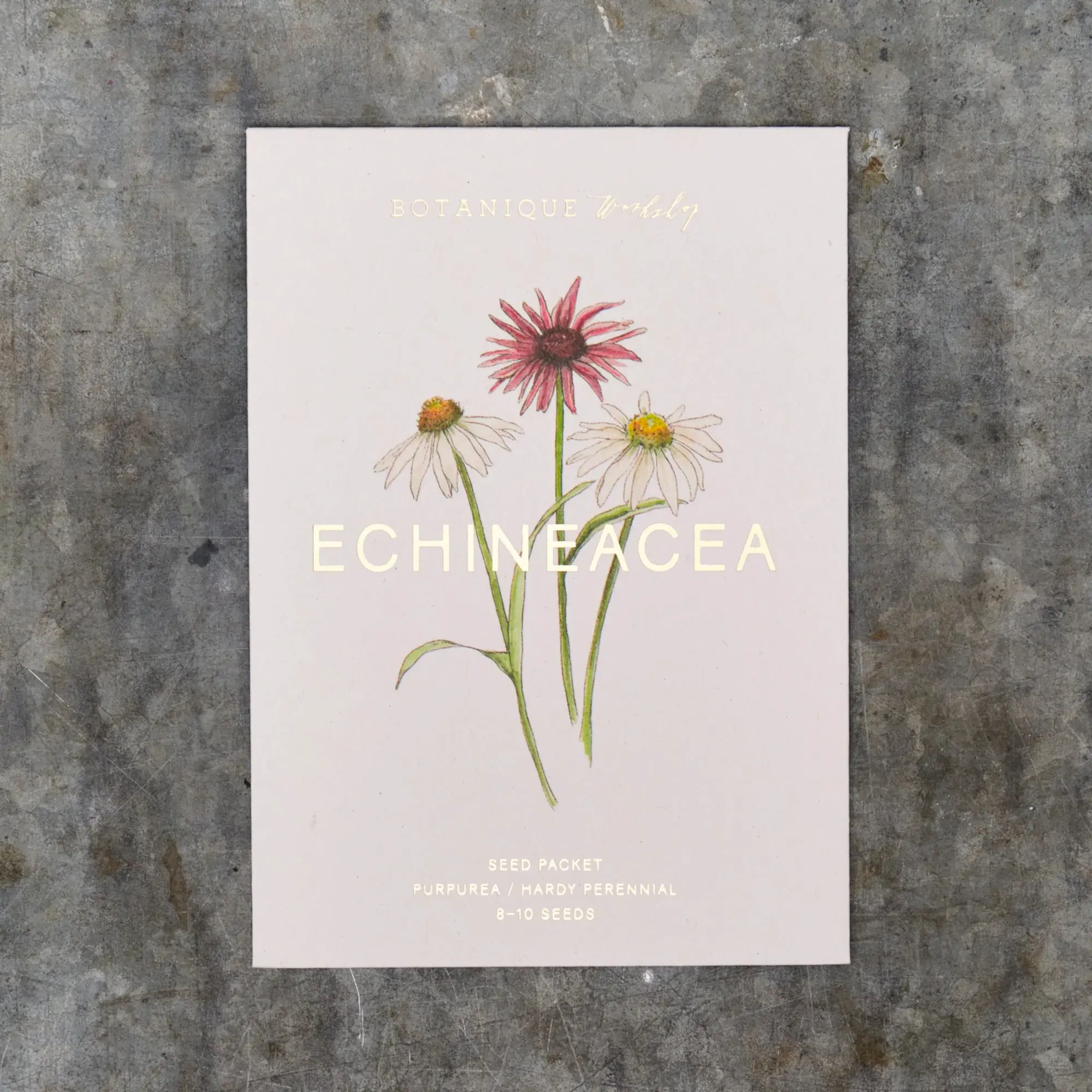 Echineacea Purpurea Seed Packet