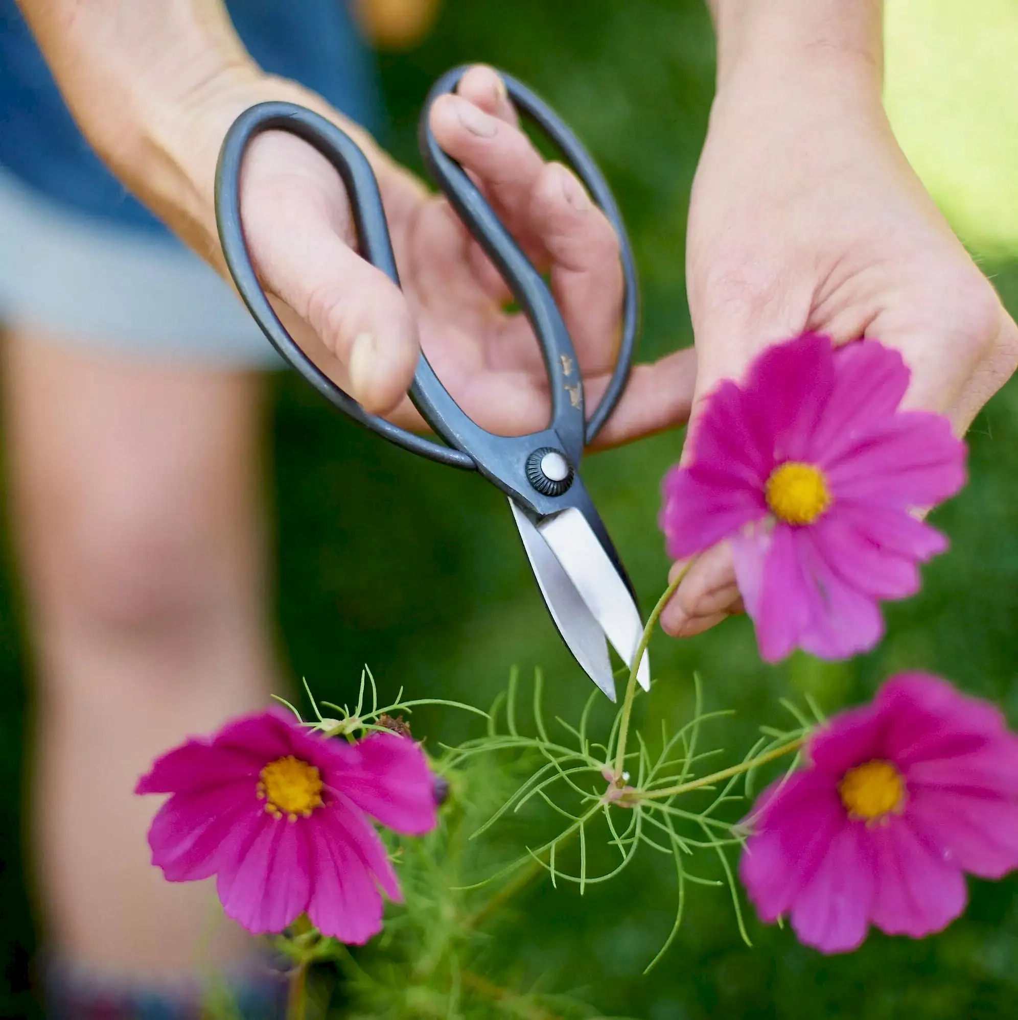 Sentei Garden Secateurs
