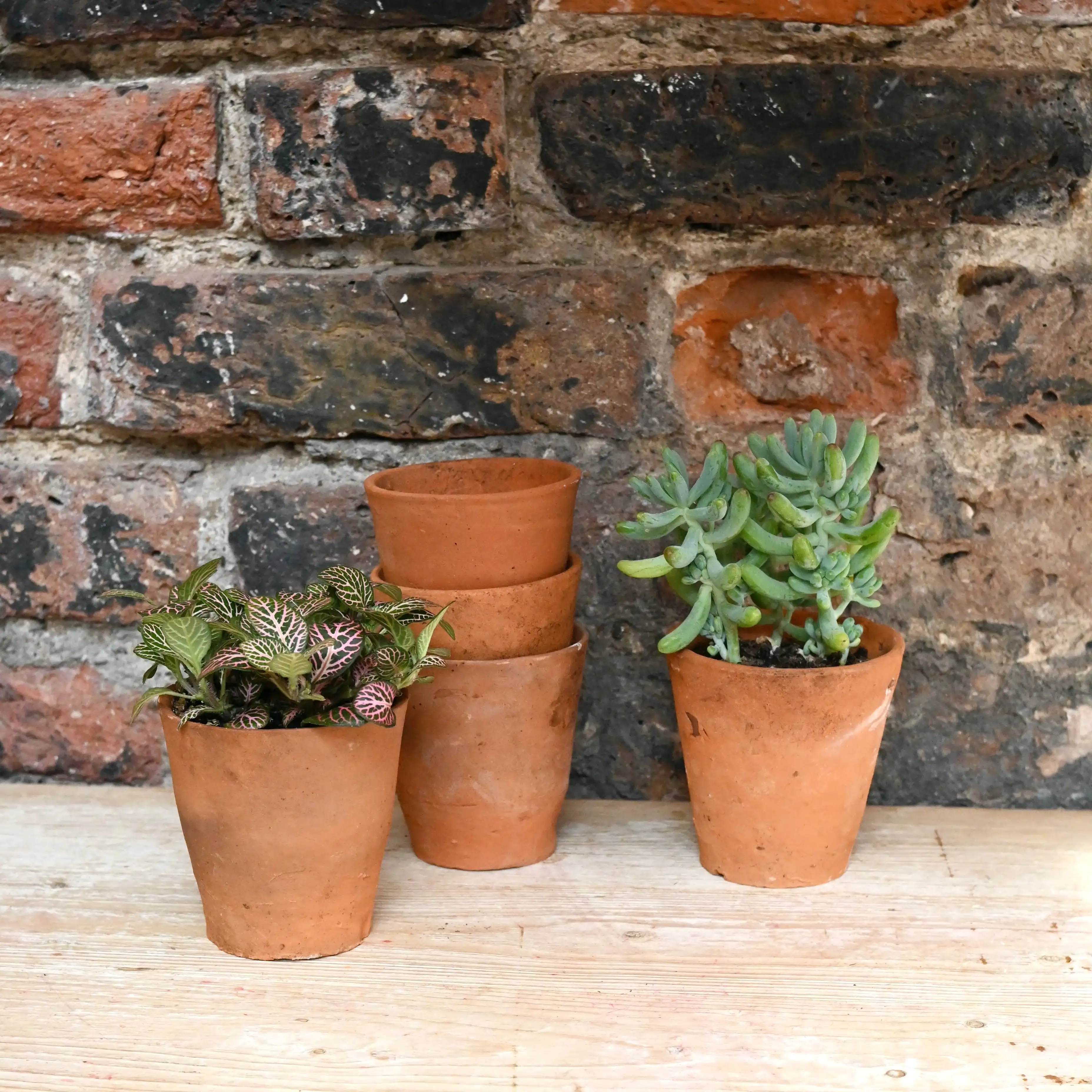 hand thrown terracotta plant pots