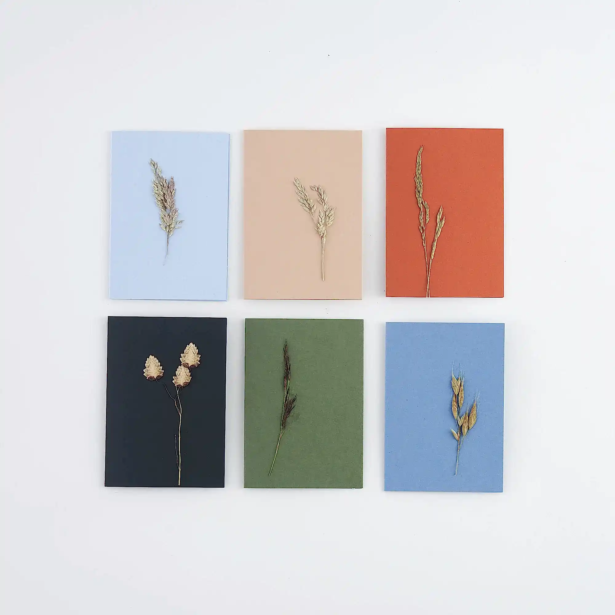 Set of 6 Pressed Grass Greetings Cards