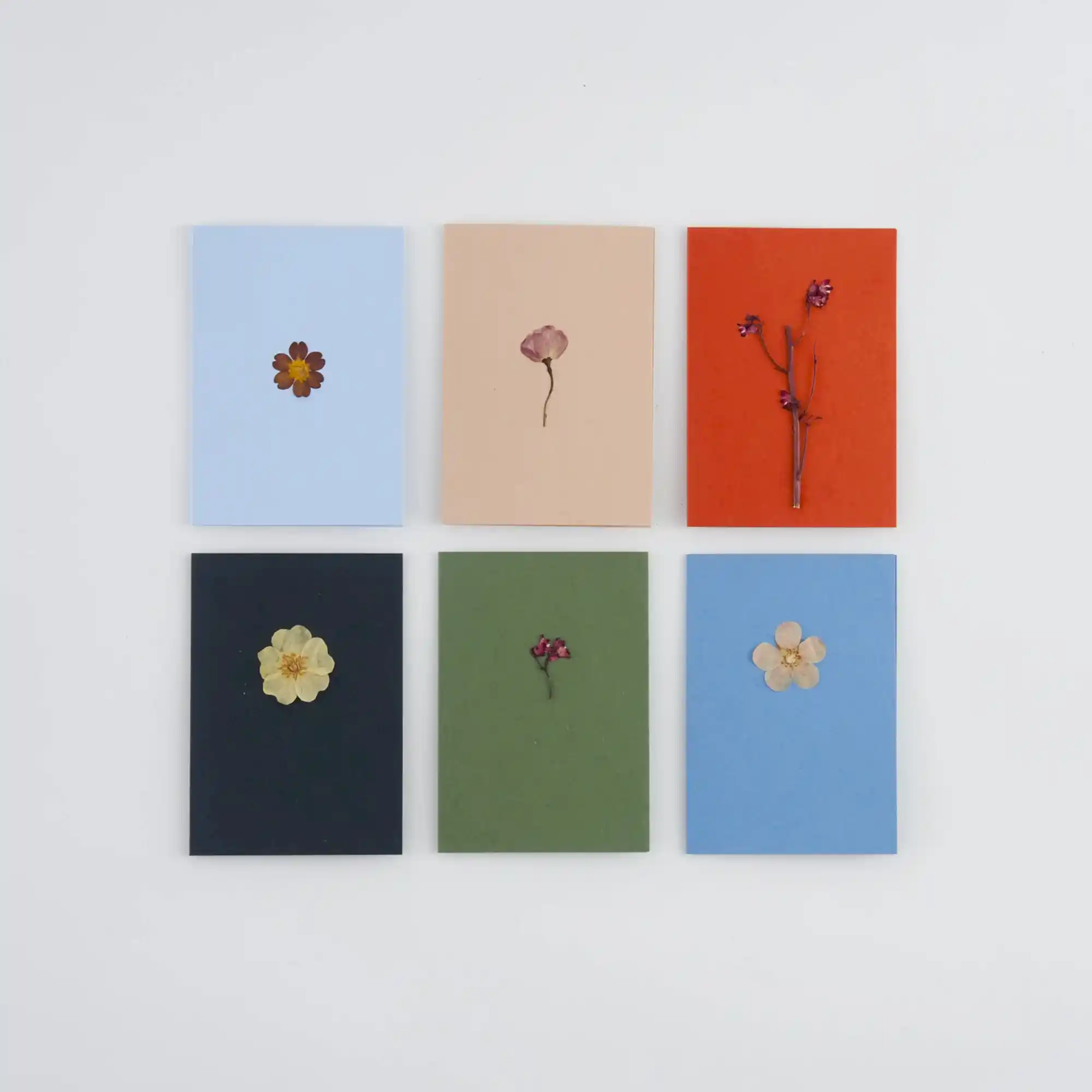 Set of 6 Pressed flower greetings cards