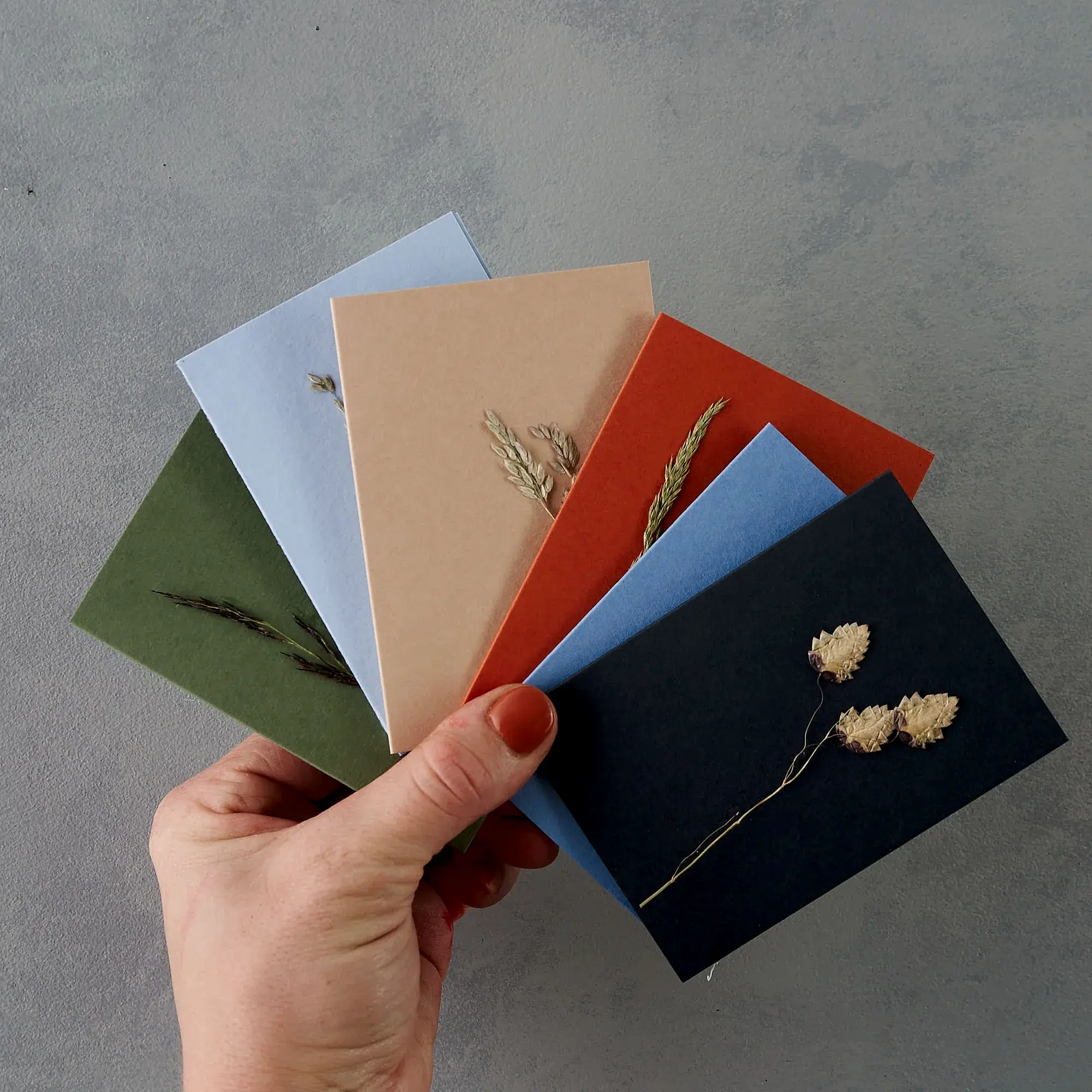 Set of 6 Pressed Grass Greetings Cards