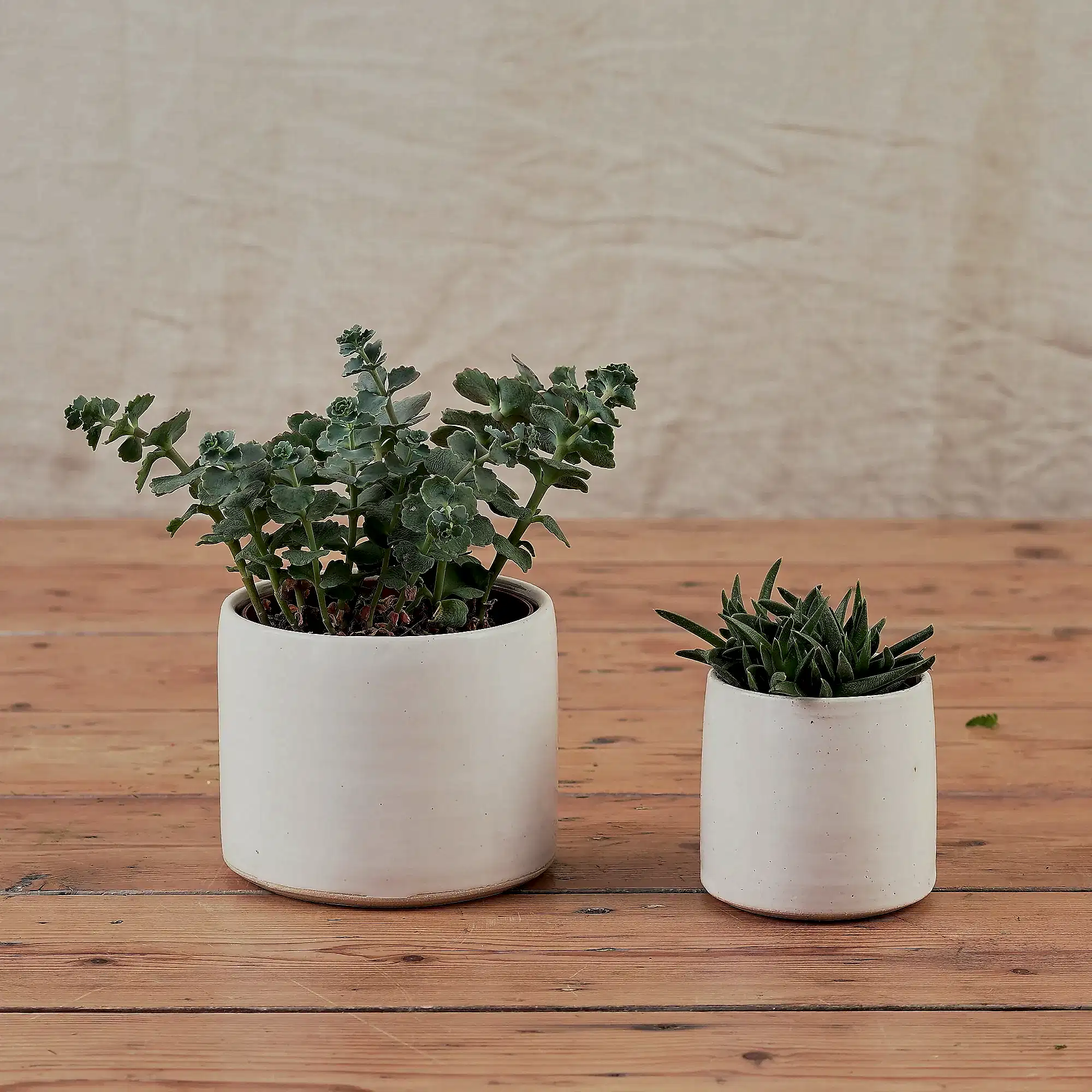 hand thrown ceramic plant pots for succulents and small plants