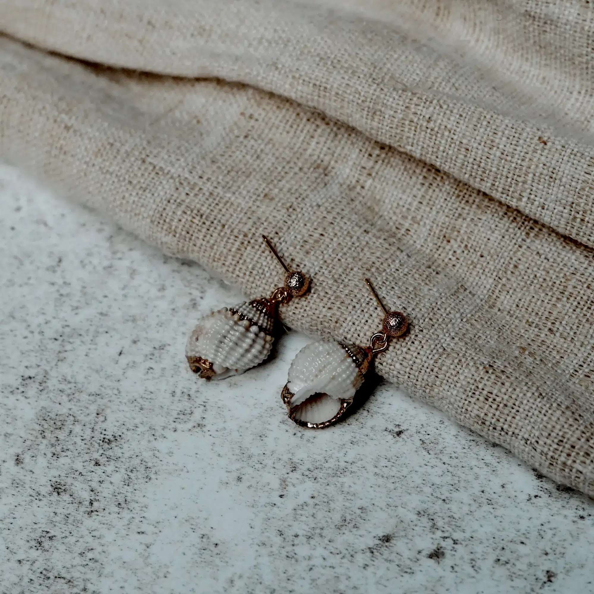 Cosmos Studio by Botanique Workshop natural and golden shell earrings
