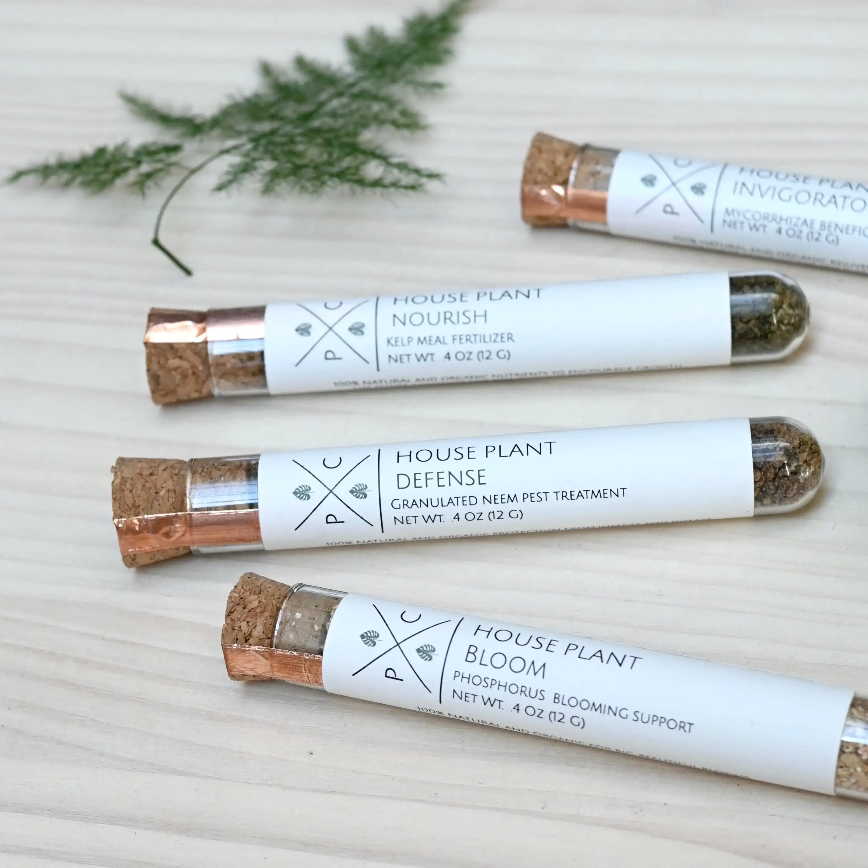 house plant care tubes set of 4