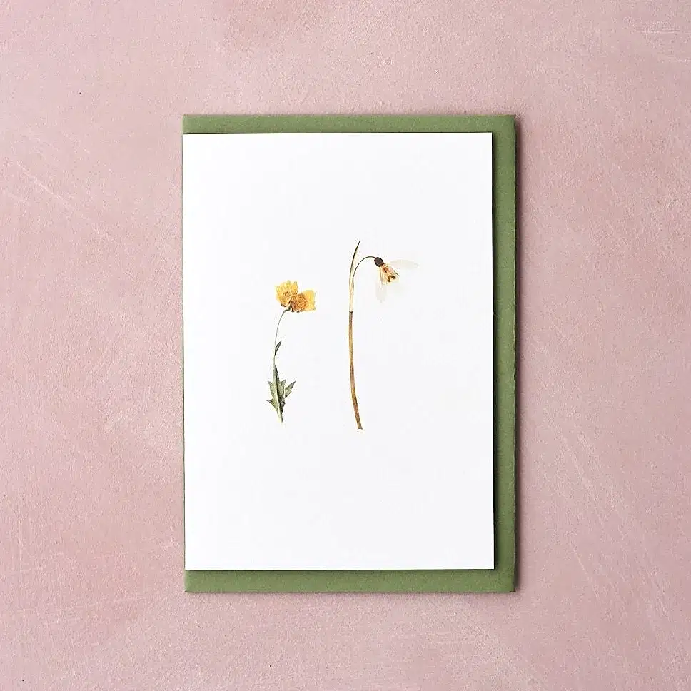 Pressed Flower Botanical Greetings Card - Spring