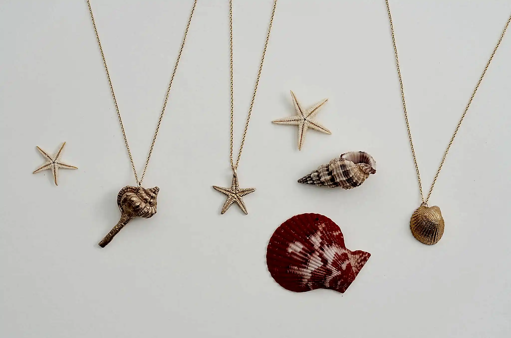 Hand Cast Shell Necklace | Spiral