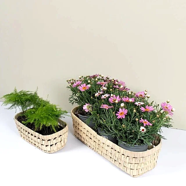 Long Open Weave Storage Tray