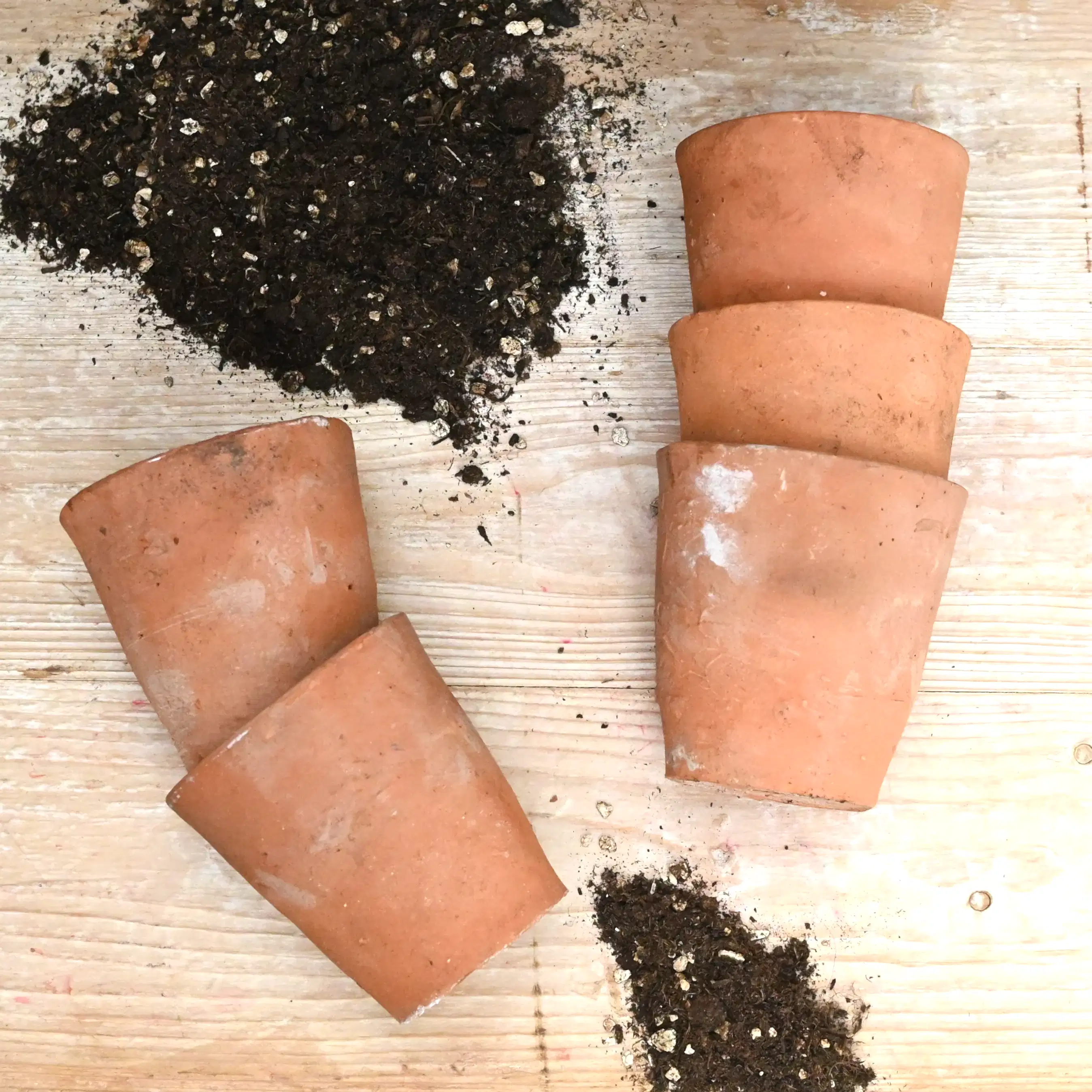 hand thrown terracotta plant pots